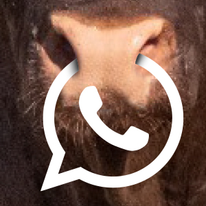 WHATSAPP_BUTTON_Huntersvlei